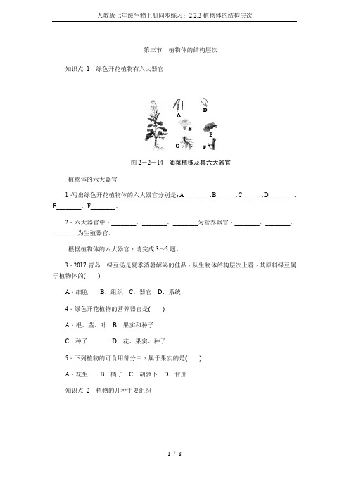 人教版七年级生物上册同步练习：2.2.3植物体的结构层次
