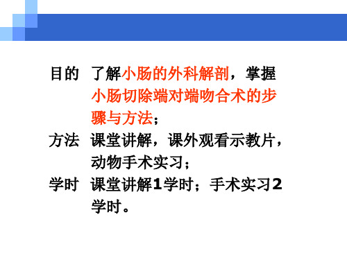 小肠部分切除端对端吻合术PPT课件
