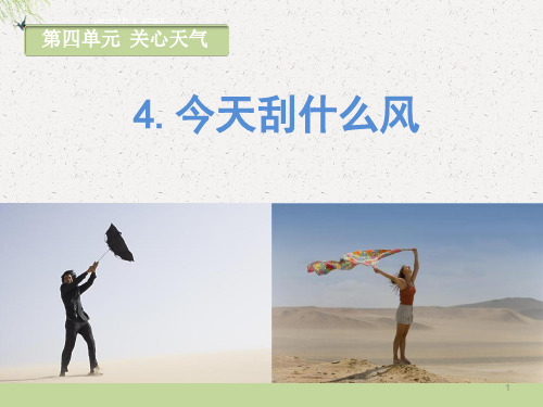 三年级下册科学课件-今天刮什么风 苏教版