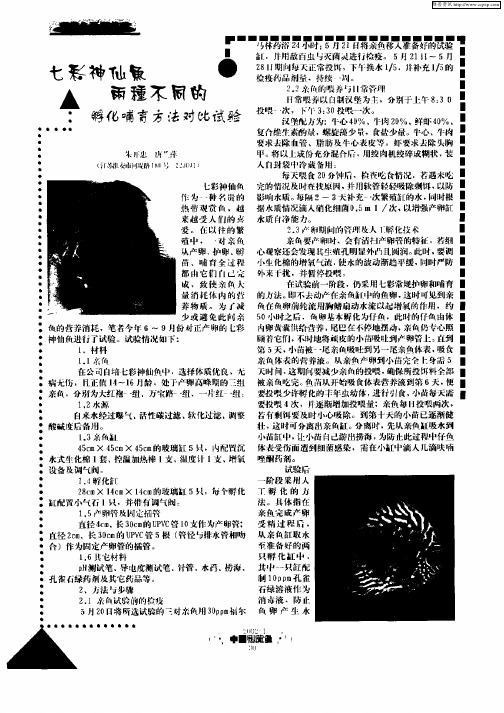 七彩神仙鱼两种不同的孵化哺育方法对比试验