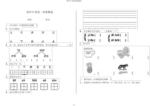 幼升小考试试卷精品