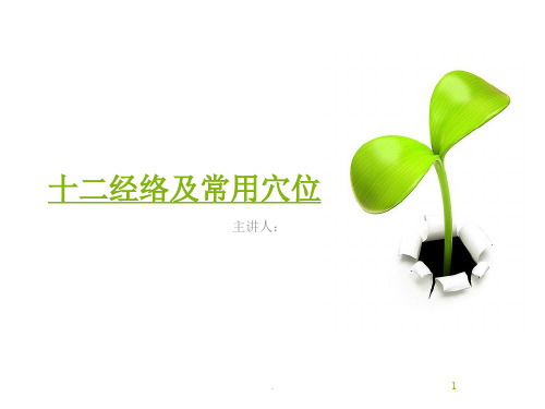 十二经络及常用穴位ppt课件