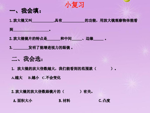 六年级科学下册课件-2 放大镜下的昆虫世界 - 教科版(共16张PPT)