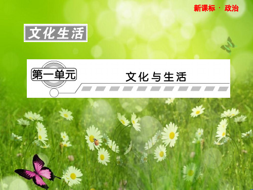 高三政治一轮复习课件广东专用版文化生活 第1单元---第1课44ppt 