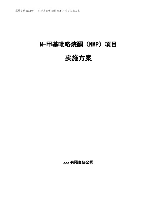 N-甲基吡咯烷酮(NMP)项目实施方案