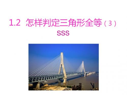 1.2.3怎样判定三角形全等SSS