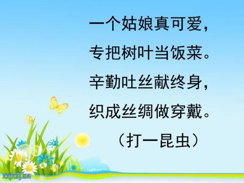 教科版三年级科学下册《 动物的生命周期  蚕卵里孵出的新生命》公开课课件_8