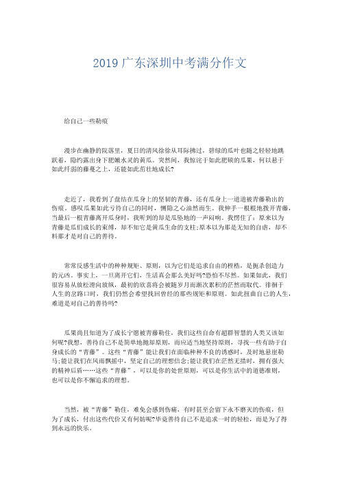 初中作文 2019广东深圳中考满分作文-精品