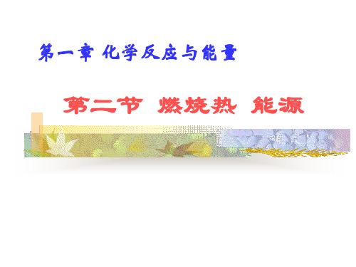 燃烧热能源