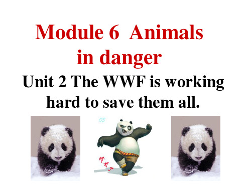 外研版英语(浙江专版)八年级上册教学课件：Module 6  Unit 2 The WWF is w