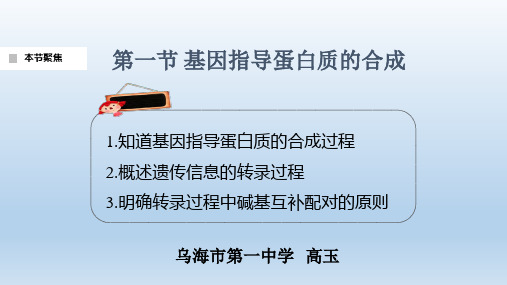 高中生物必修2《第3章遗传信息的复制与表达第2节遗传信息的表达一基因控制蛋...》345北师大PPT课件