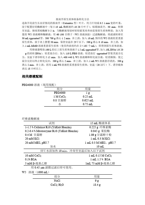 原生质体制备