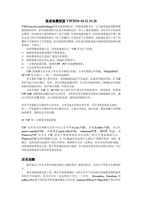 垂直地震剖面VSP2010