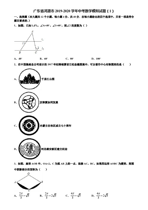 广东省河源市2019-2020学年中考数学模拟试题(1)含解析