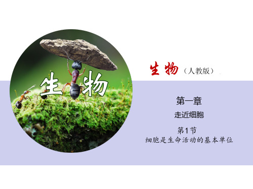 1.1细胞是生命系统的基本单位