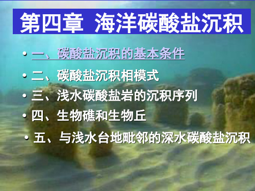 第五章海洋碳酸盐沉积