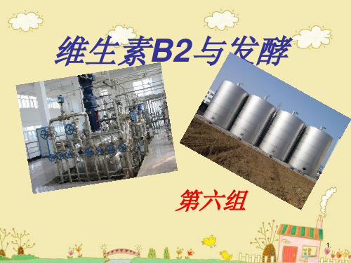 维生素b2的发酵演示精品PPT课件