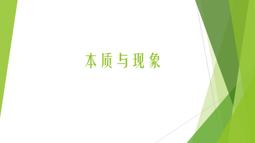 本质与现象PPT