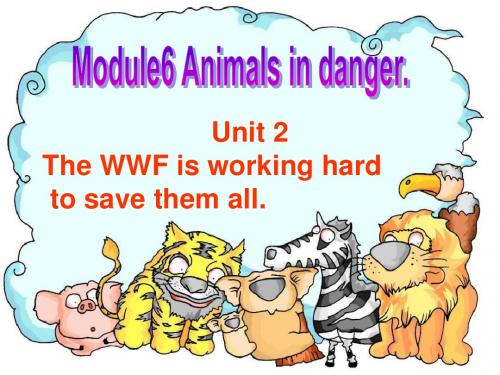 初中英语八年级上册Module 6 Unit 2 The WWF is working hard课件