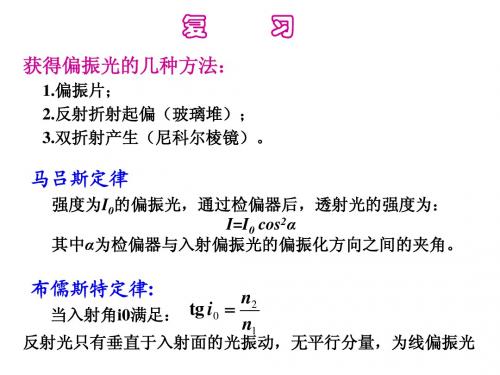 光的偏振3