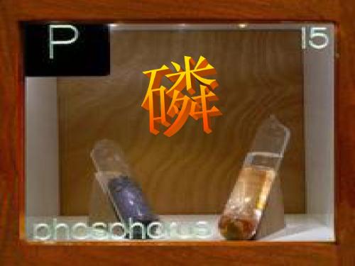 第五组磷元素