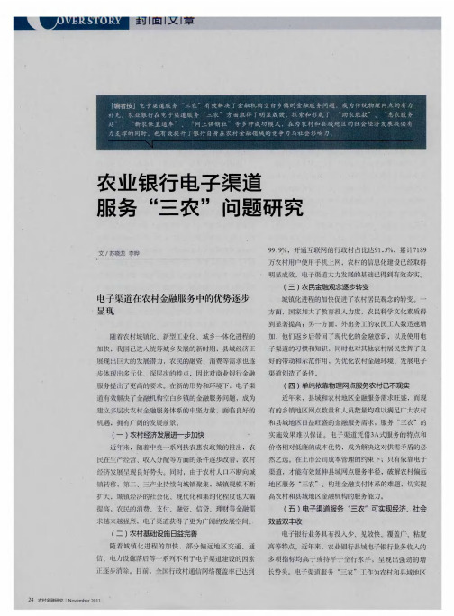 农业银行电子渠道服务“三农”问题研究