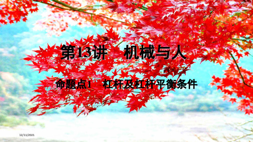 中考物理一轮复习 基础考点一遍过 第13讲 机械与人 命题点1 杠杆及杠杆平衡条件课件