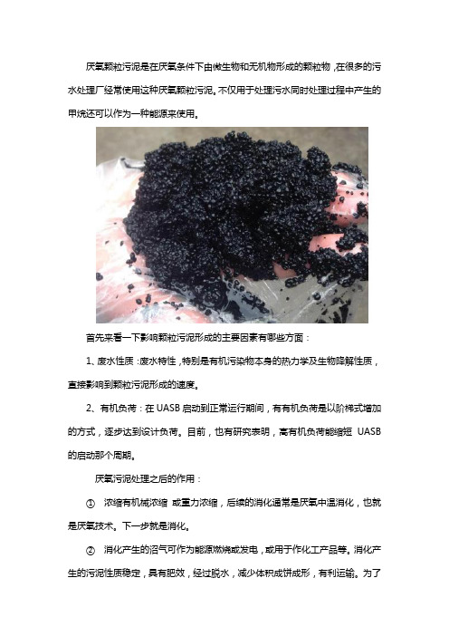 湖北厌氧颗粒污泥