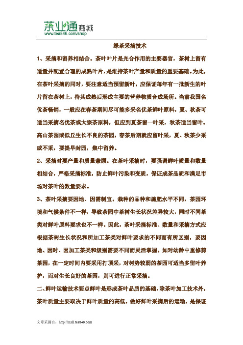 绿茶采摘技术