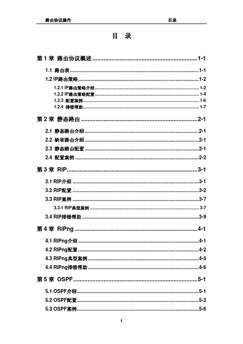 路由协议操作