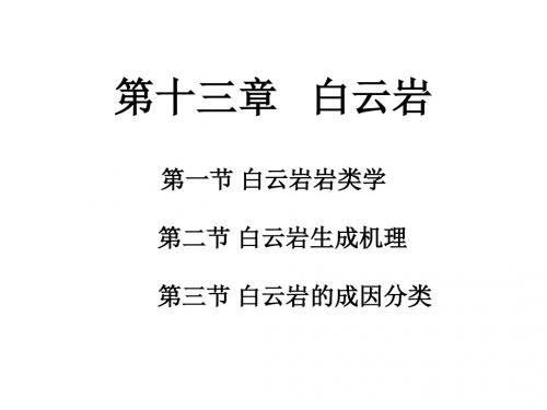 沉积岩石学 第十三章 白云岩
