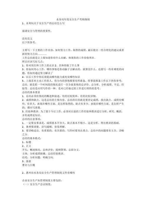 水务局年度安全生产考核细则安全生产