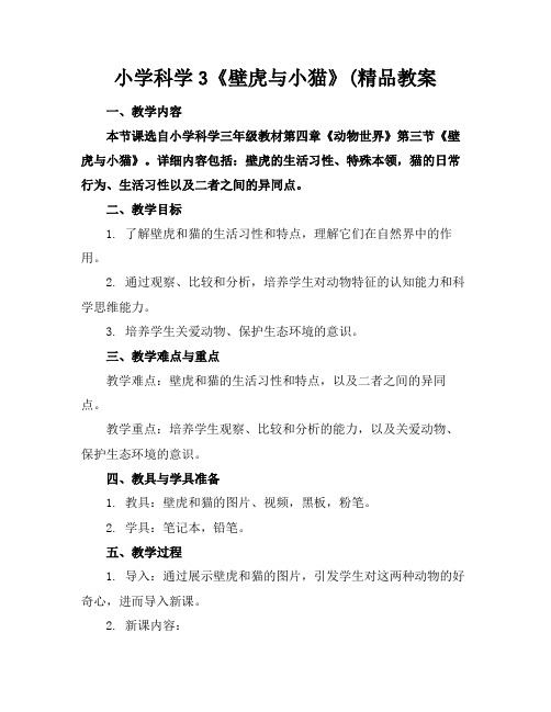 小学科学3《壁虎与小猫》(精品教案