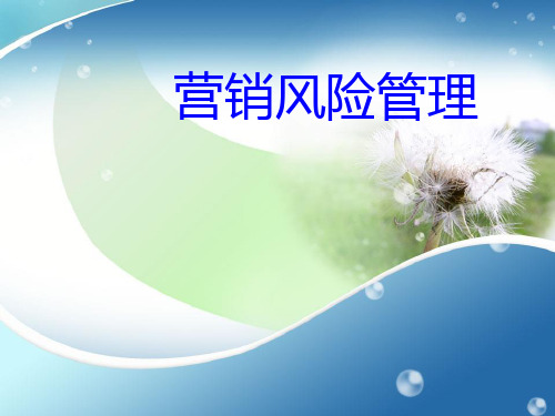 营销风险管理培训教材页PPT课件