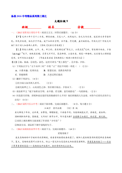 2016年中考语文大题狂做系列 09(第03期)(原卷版)