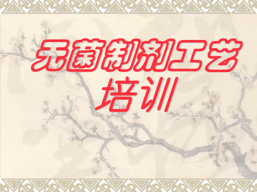 无菌制剂工艺 培训 课件