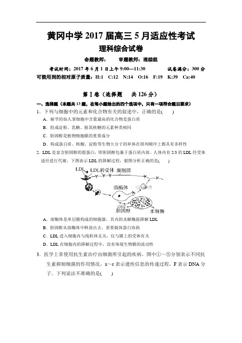 湖北省黄冈中学2017届高三5月适应性考试生物试卷
