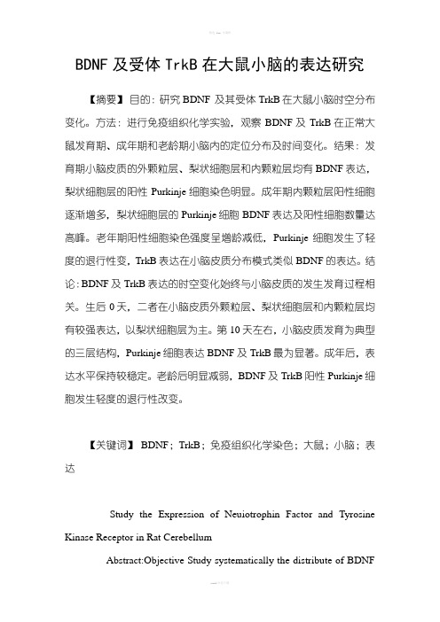 BDNF及受体TrkB在大鼠小脑的表达研究