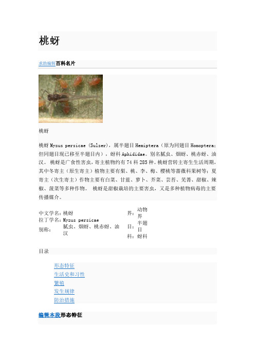桃蚜