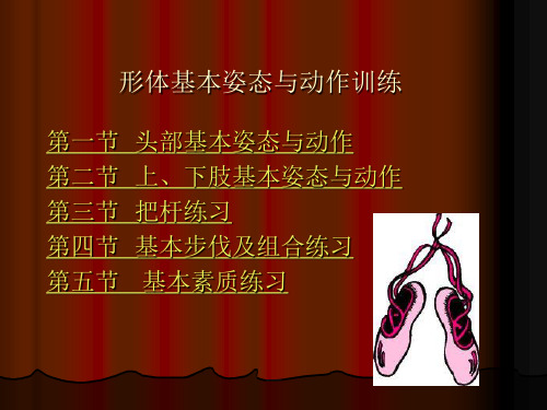 形体基本姿态与动作训练 23