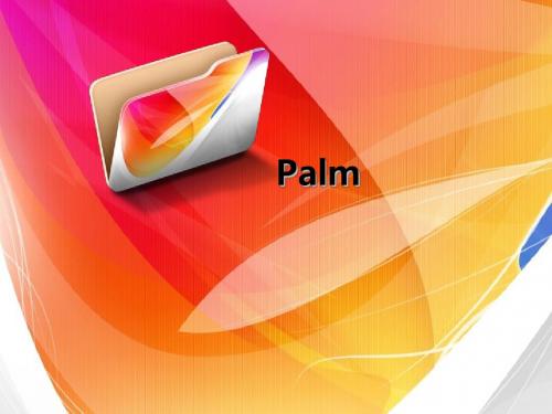 palm-ss