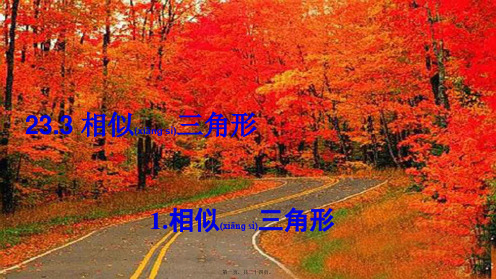 九年级数学上册 第23章 图形的相似23.3 相似三角形 1相似三角形上课课件