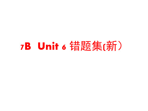 7B    Unit 6 错题集