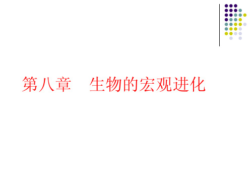 生物的宏观进化-进化生物学-课件-08