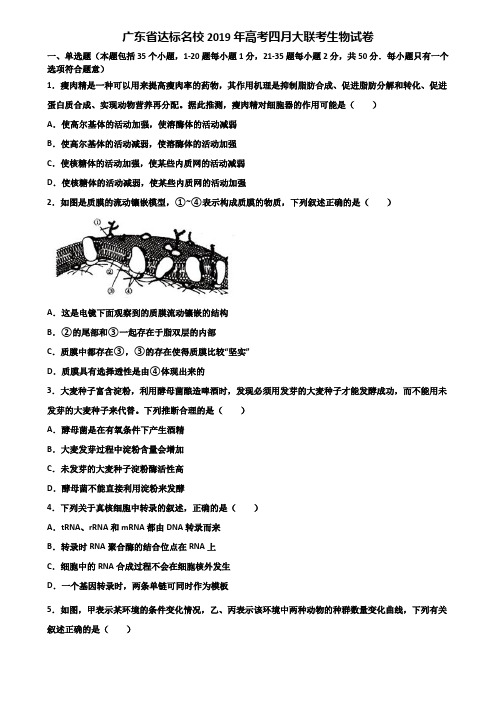广东省达标名校2019年高考四月大联考生物试卷含解析