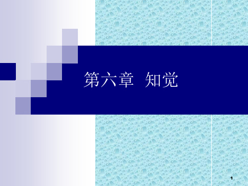《第七章知觉》ppt课件