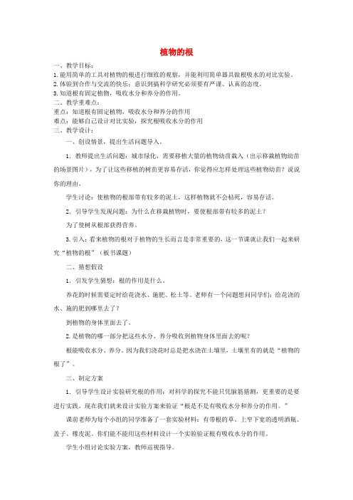 (小学教育)四年级科学上册 植物的根教案1 青岛版