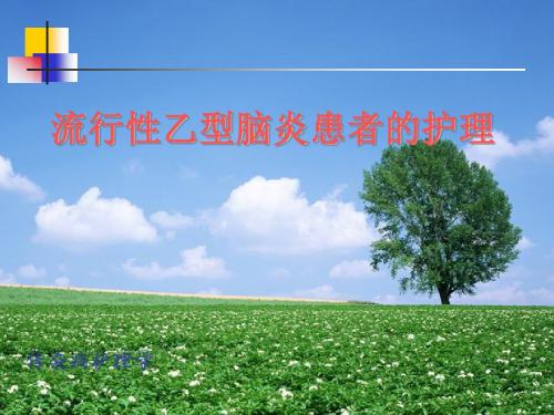 流行性乙型脑炎患者的护理PPT课件