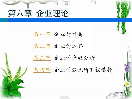 最新版：新制度经济学第6章