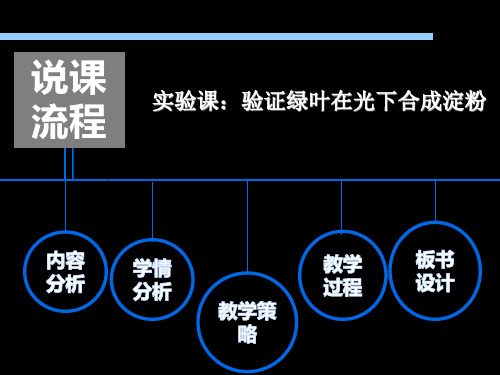 北师大版七年级生物上册 3.5.1 光合作用 说课课件(共15张PPT)